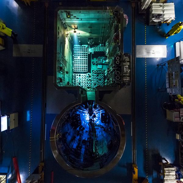 Inside the OPAL reactor