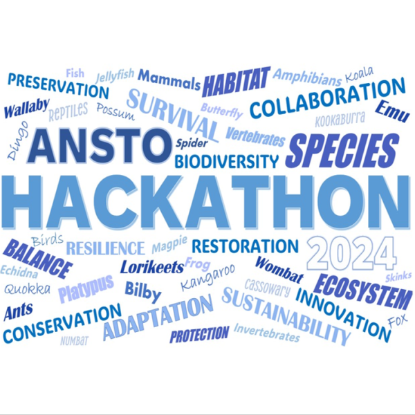 Hackathon 2024 Wordcloud