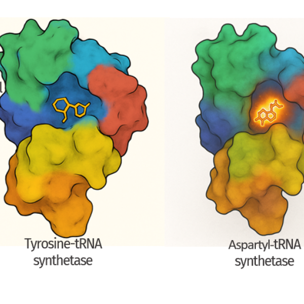 Malaria and Molecules