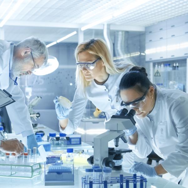 People working in lab