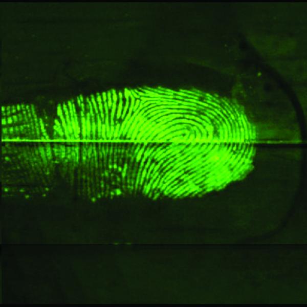Green fingermark