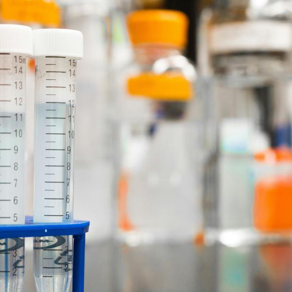 laboratory plasticware
