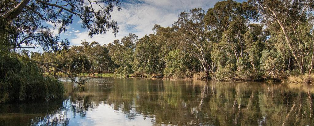 Australian River