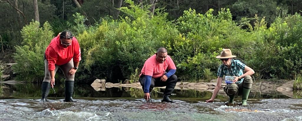 Fieldwork Woronora River
