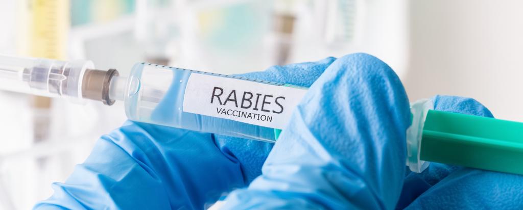 Rabies vaccine