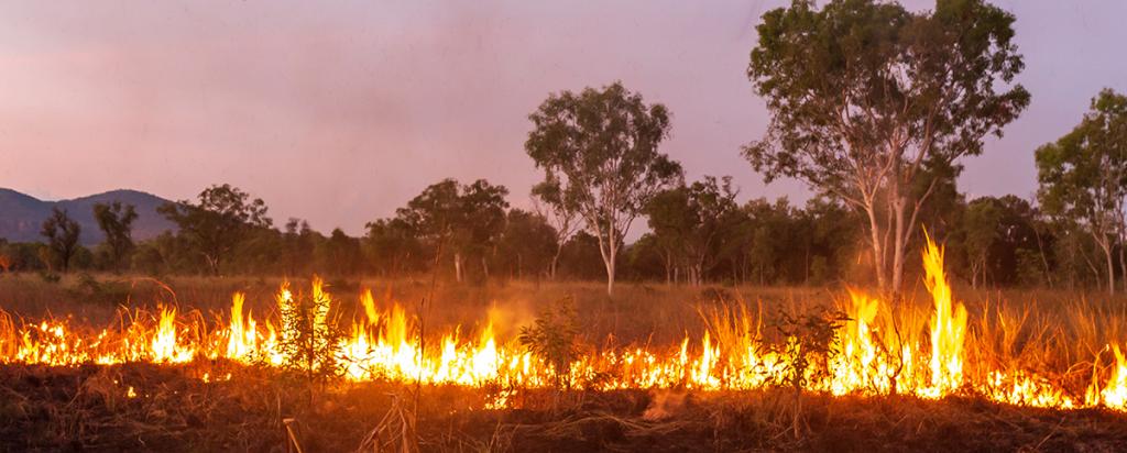 Traditional burning