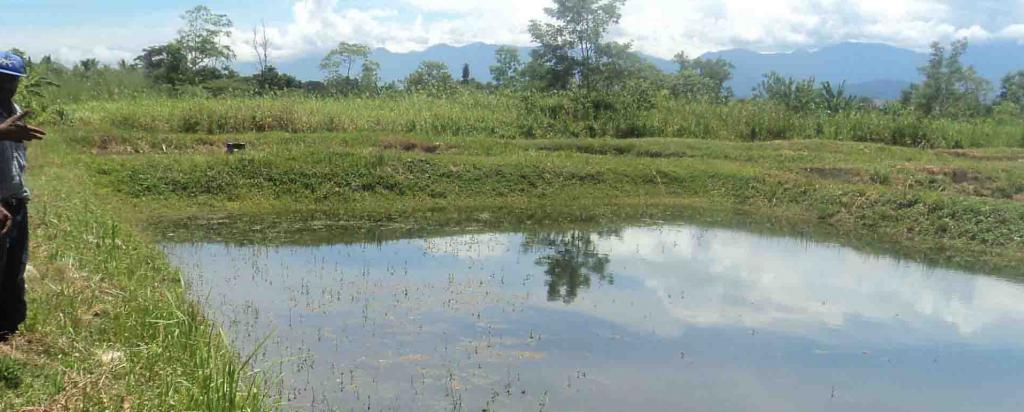 Aquaculture PNG