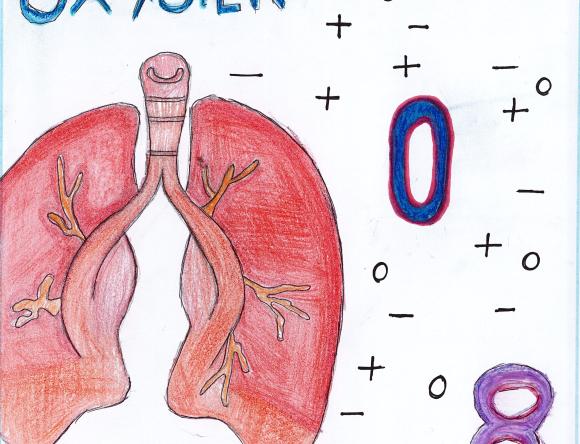 Finalist: Year 7 - Lloyd W - Homebush - NSW