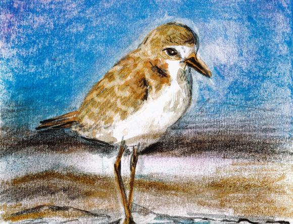 1st Y3-4 Individual - Janice S, Coopers Plains, QLD