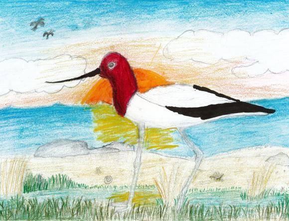 1st Y3-4 Schools - Evie L, Margate Primary School, TAS