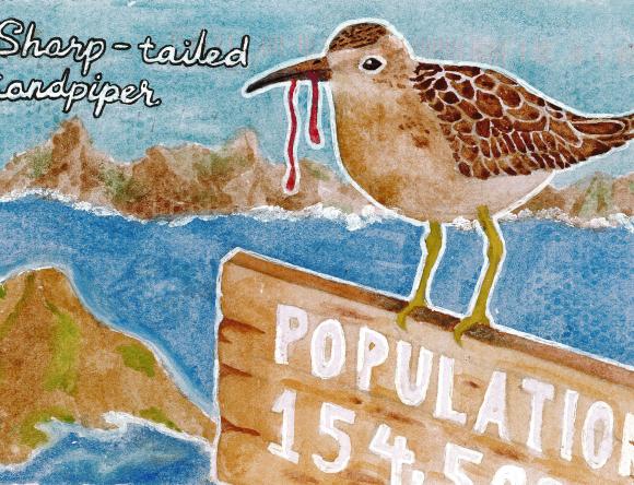 1st Year 5 - 6 Individual Ilyana C, Glen Waverley, VIC