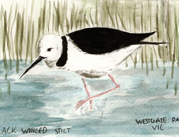 3rd Y5-6 Individual - Melina D, Murrumbeena, QLD