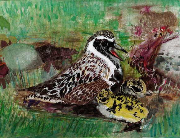 HC Y3-4 Individual - Jiwoo J, Meadowbank, NSW