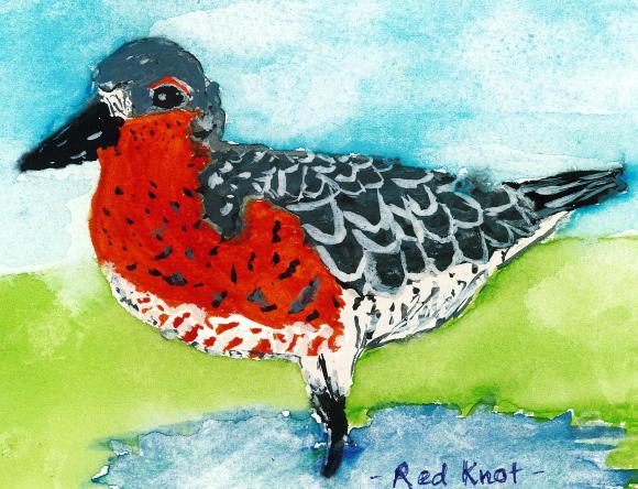 HC Y3-4 Individual - Mihini R, Lyons, ACT