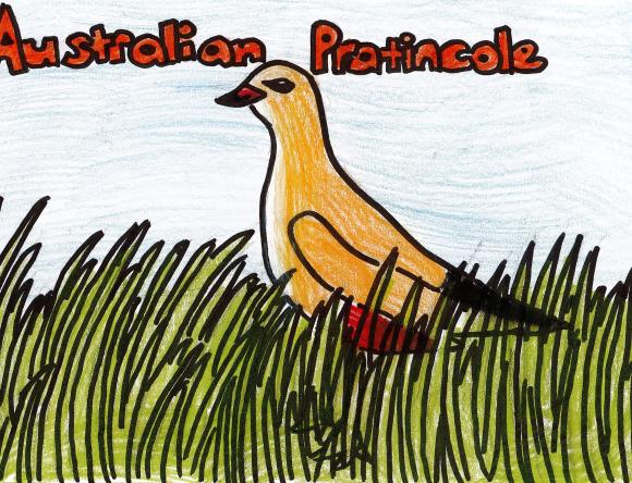 HC Y3-4 Schools - Ellie C, Kerrimuir Primary School, VIC