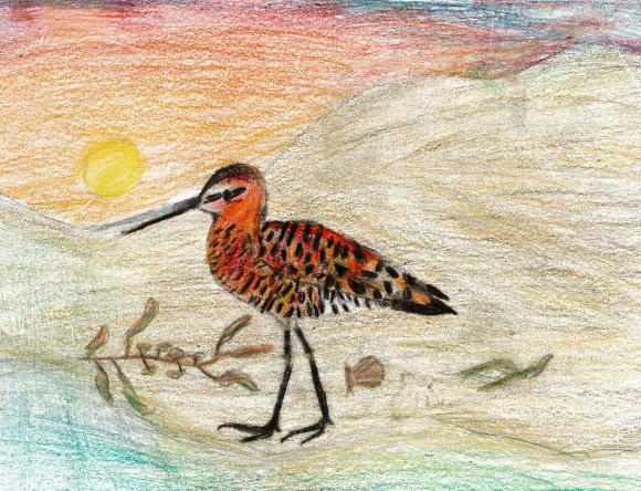 HC Y3-4 Schools - Neve G, Margate Primary School, TAS