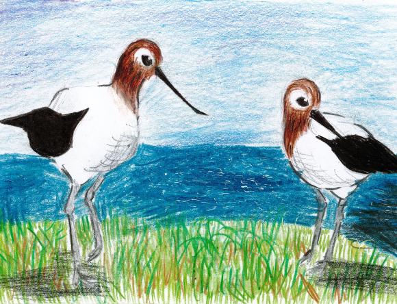 HC Y3-4 Schools - Zoey M, Macarthur Anglican School, NSW