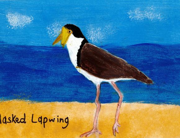 HC Y5-6 Individual - Alana T, Greenbank, QLD