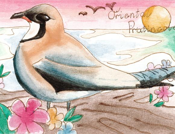 HC Y5-6 Individual - Elaine J, Sandy Bay, TAS