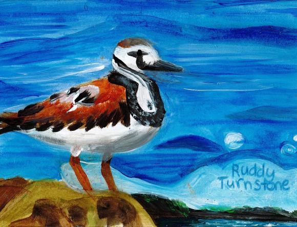 HC Y5-6 Schools - Blasko W, Lockleys North Primary School, SA