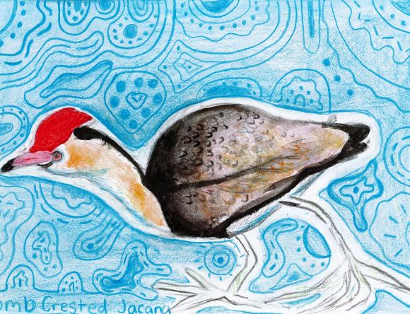 HC Y5-6 Schools - Georgia T, Secret Harbour Primary School, WA