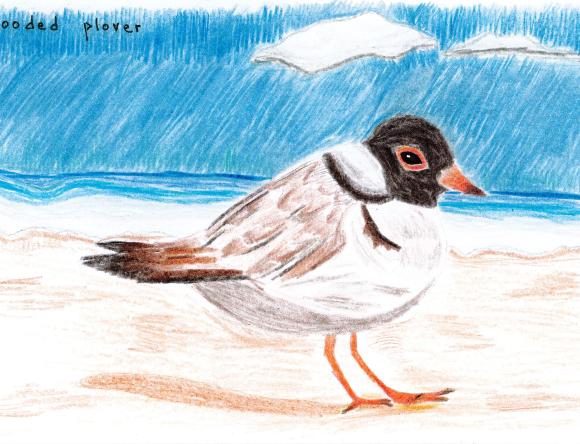 HC Y5-6 Schools - Shafana J, Al-Hidayah Islamic School, WA