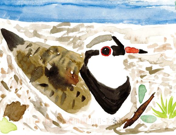 Rural Winner Y3-4 Individual - Leo D, Repton, NSW