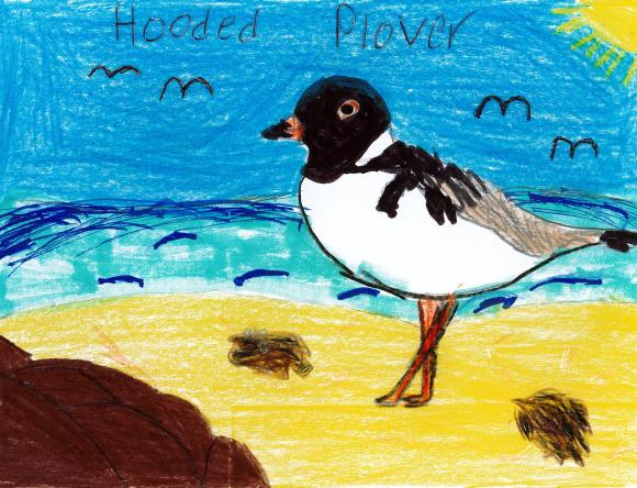 Rural winner Y3-4 Schools - Maisie H, Ceduna Area School, SA