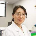 Dr Xiao Suo Wang HRI