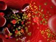 bloodstream