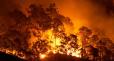 Bushfire