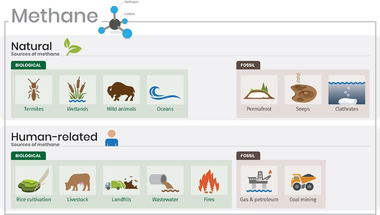 Sources of methane