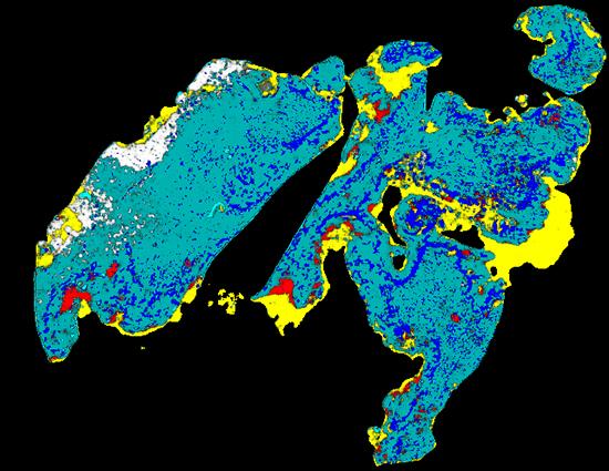 PathoFusion heatmap