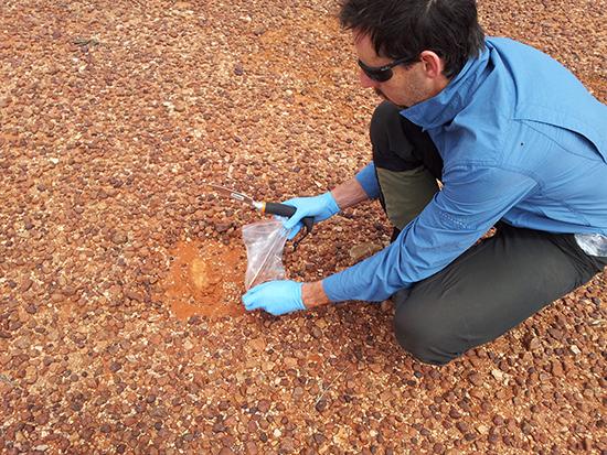 Sampling for contaminants Maralinga