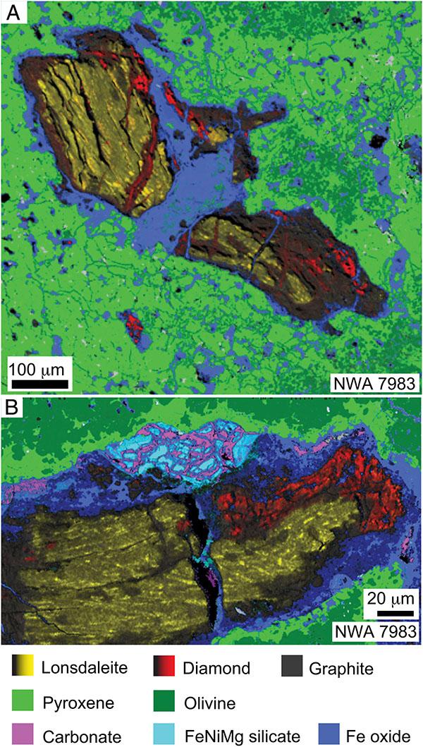 pnas.2208814119fig03