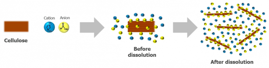 Dissolution of cellulose by ionic liquid