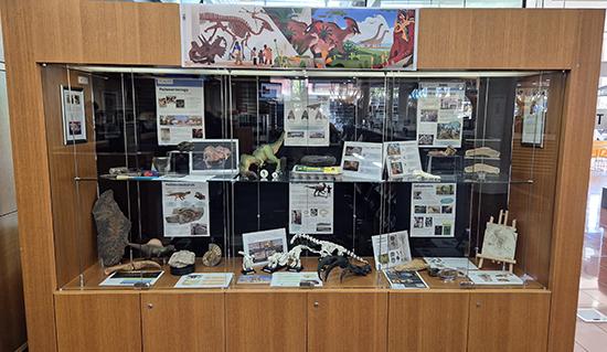 Blacktown library display