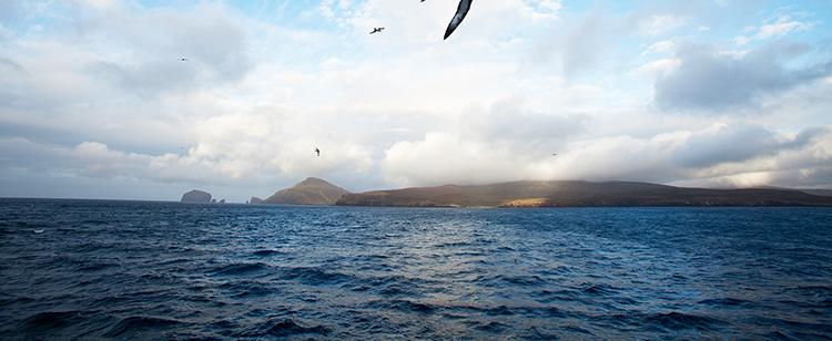 Sub Antarctic Island