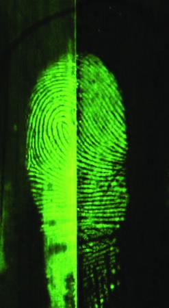 Green fingermark 2