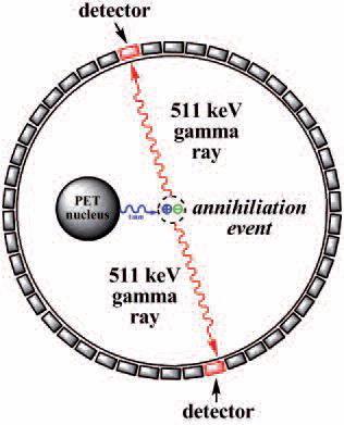 Bringing radiochemistry to life_PET Imaging