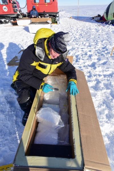 Andrew Smith in Antarctica news image