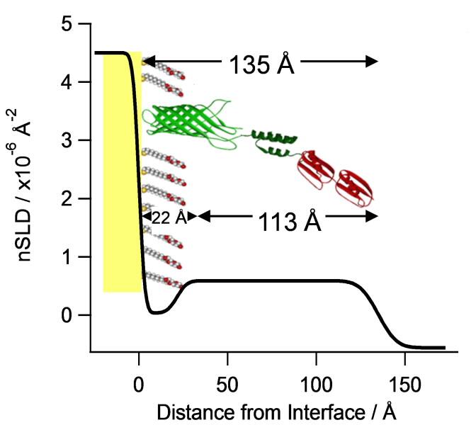 Influenza graph 